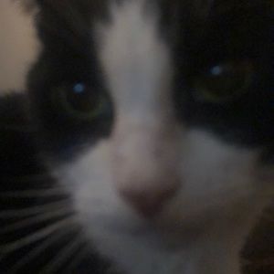 Meet your Posher, Leeann